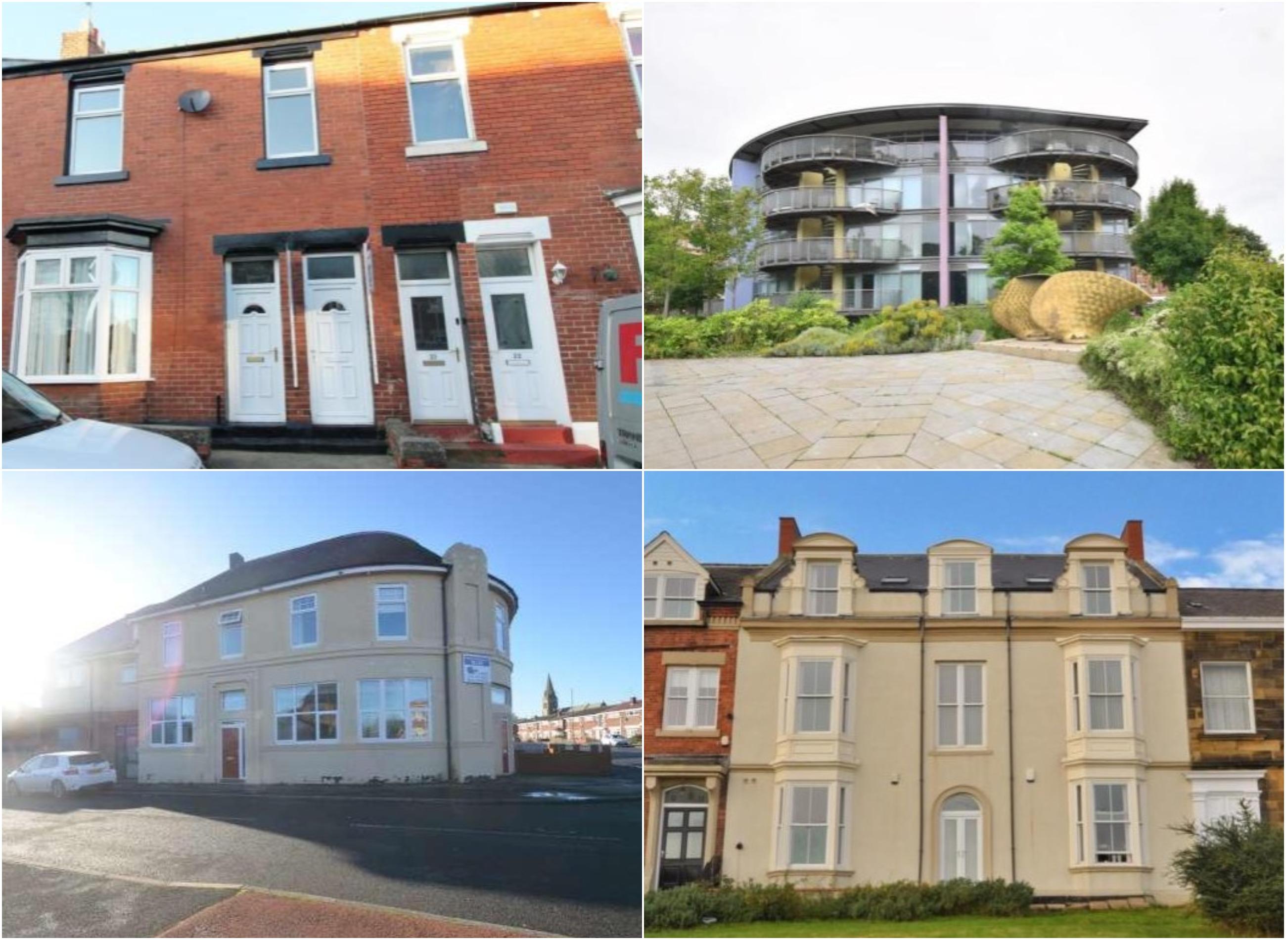 Nine flats available to rent in Sunderland right now Sunderland Echo